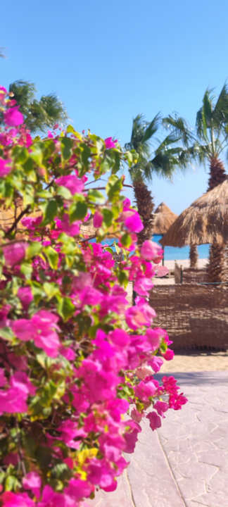 Strand Lotus Bay Beach Resort