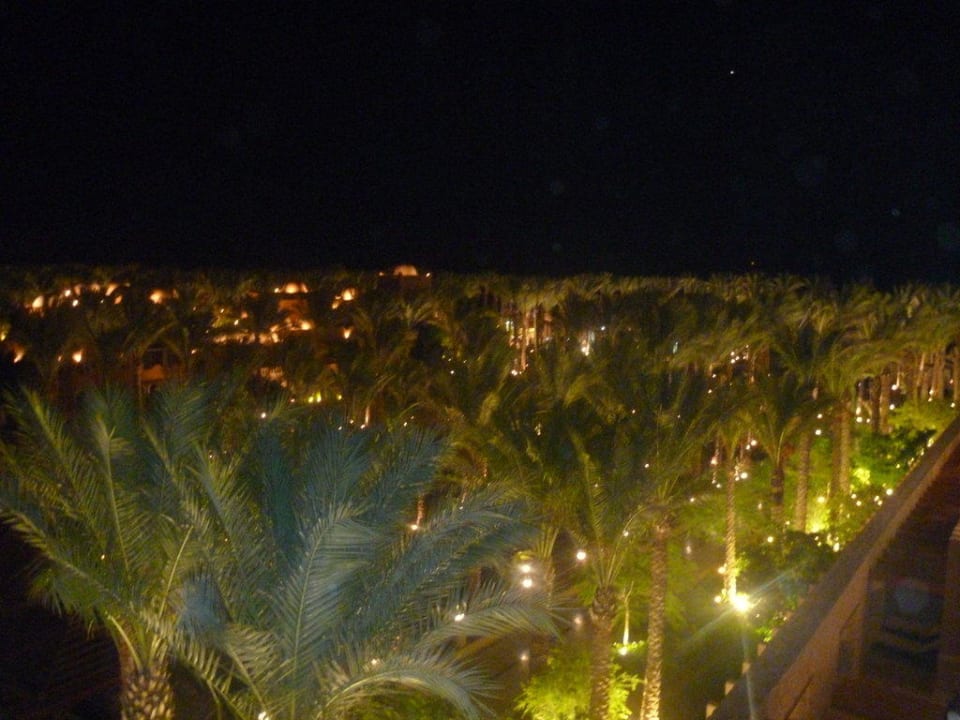 Ausblick über die Palmenlandschaft des Palace Makadi Spa - Adults only