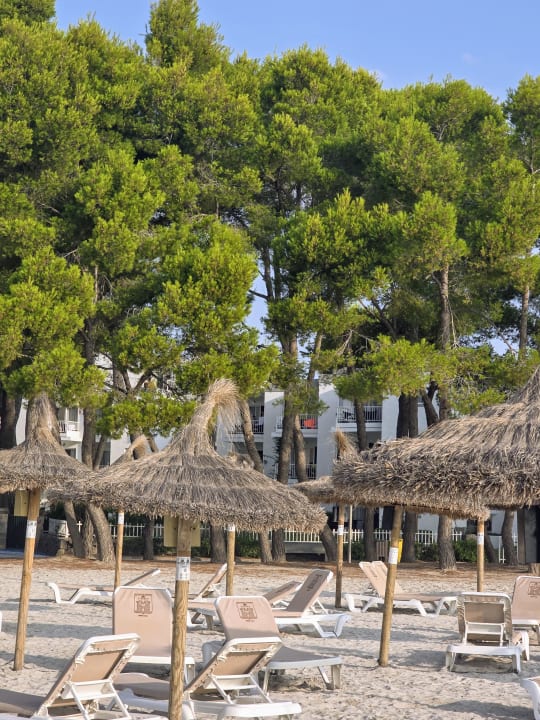 Strand Caprice Playa de Alcudia