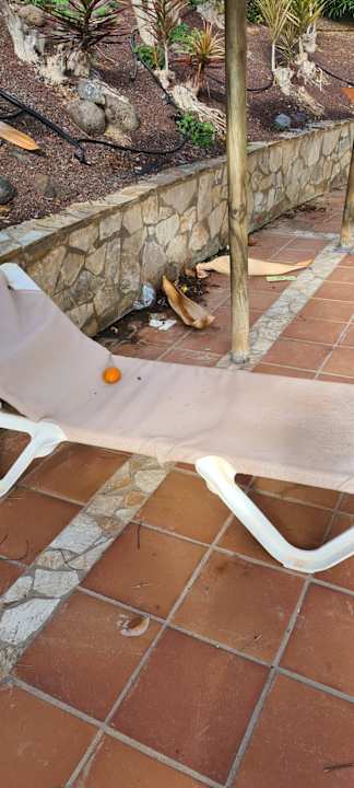 Gartenanlage SBH Club Paraiso Playa