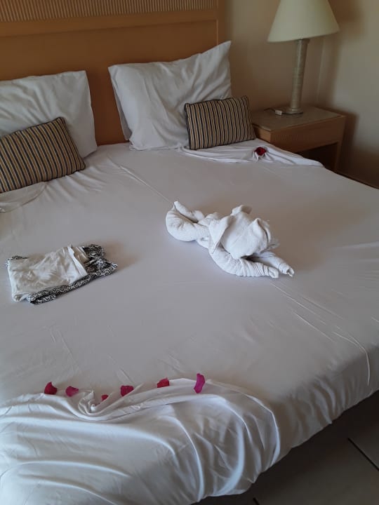 Zimmer Hotel JAZ Makadi Star & Spa