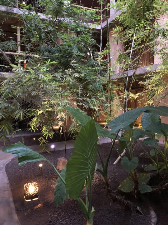 Gartenanlage Lopesan Baobab Resort