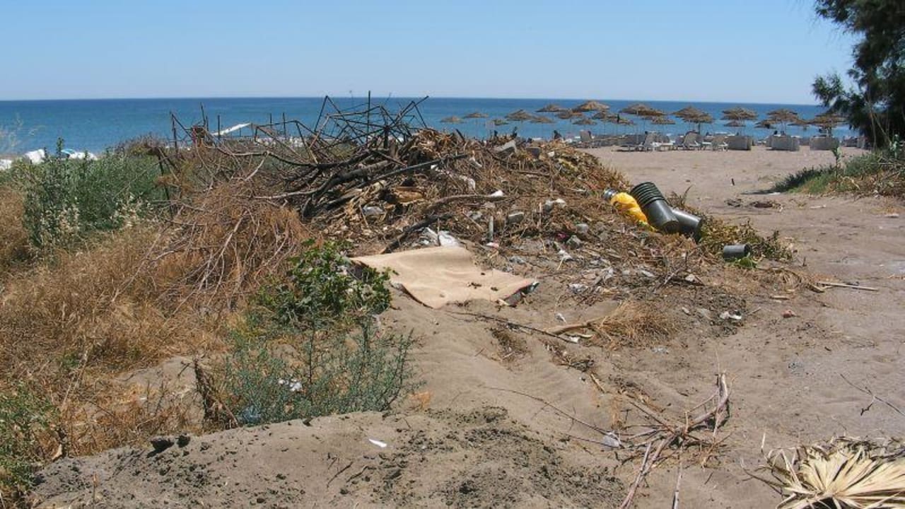 Müll am Strand und neben der Rasenliegefläche Hotel Calypso Beach