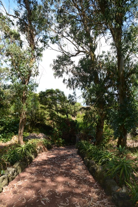 Gartenanlage Apartments Quinta De Santana