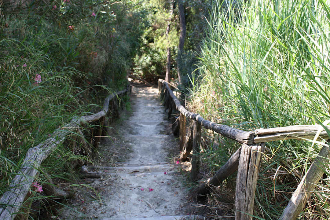 Bezpieczne schody Hotel Dryades