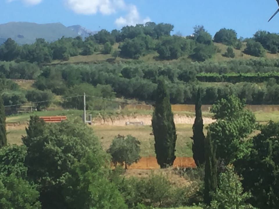 Ausblick B&B Hotel Affi Lago di Garda