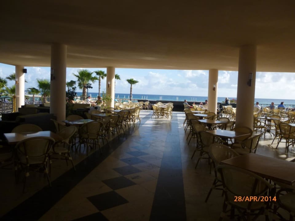 Panoramabar TUI BLUE Palm Garden