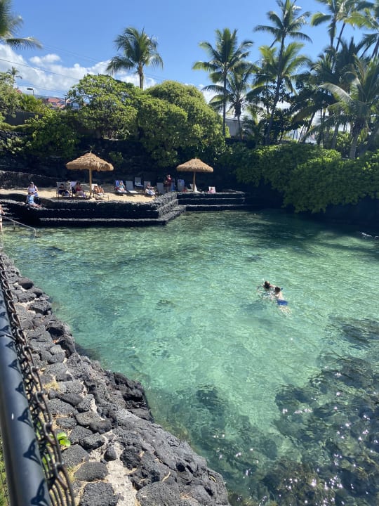 Pool Hotel Royal Kona Resort