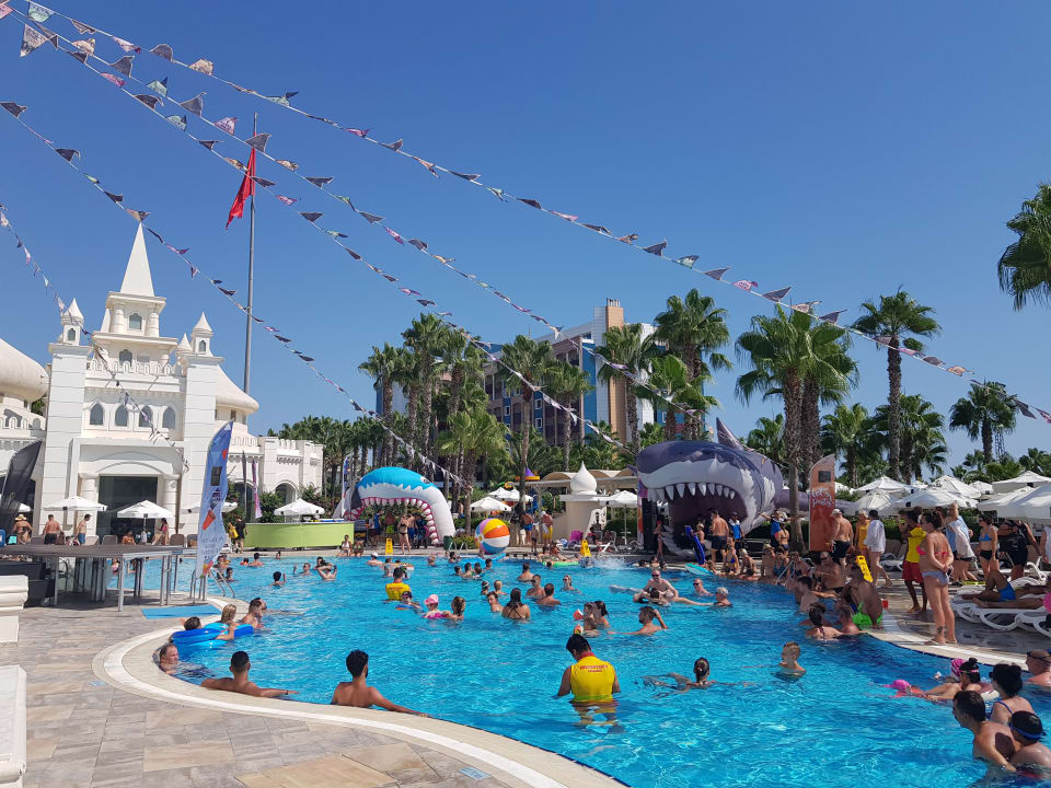 Pool Kamelya Aishen Club