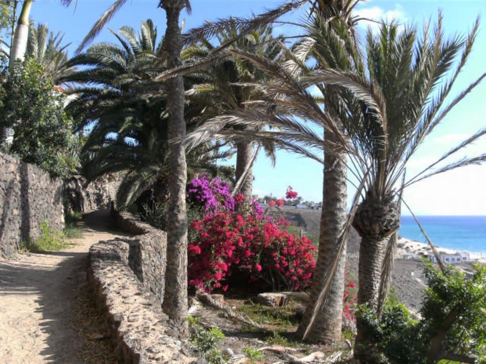 Strandpromenade allsun App.-Hotel Esquinzo Beach