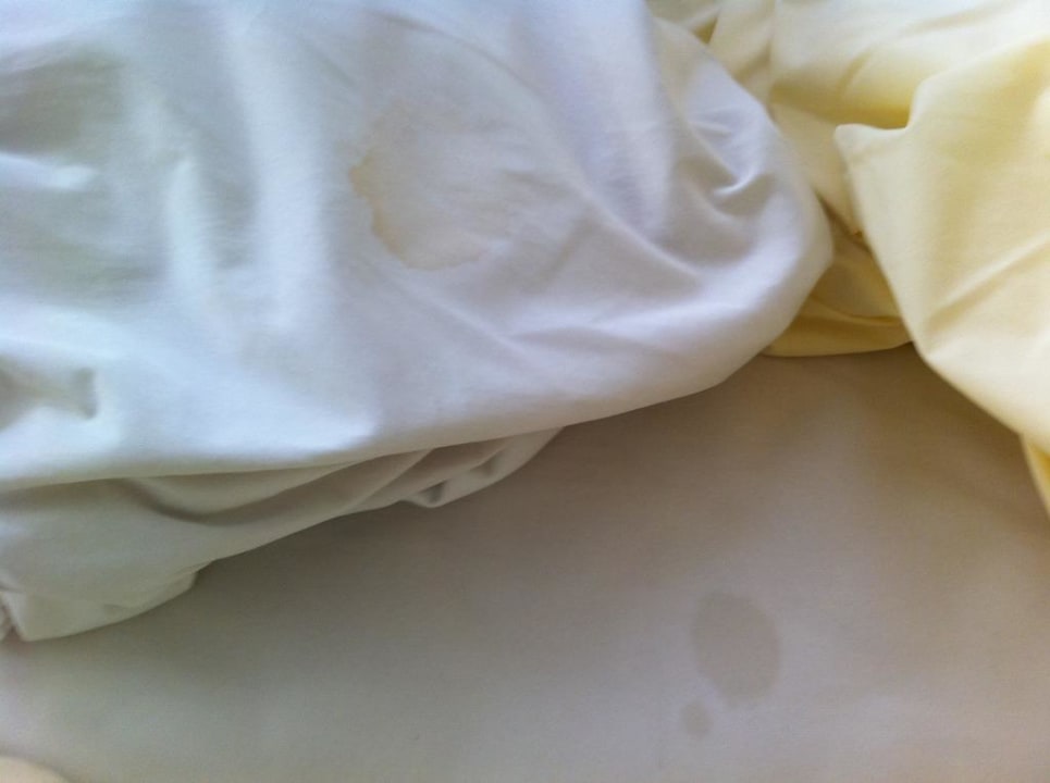 Flecken! Hotel Vier Jahreszeiten