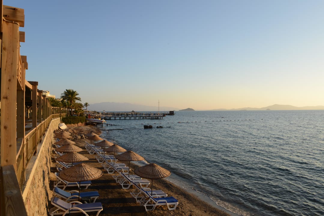 Privet Beach Maxsea Beach Hotel