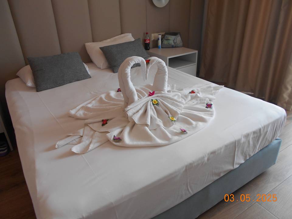 Zimmer Dream Water World