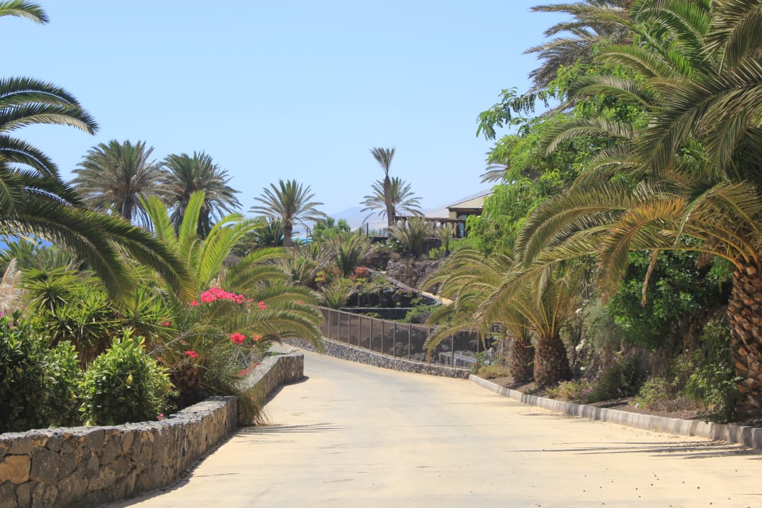 Die Gartenanlage R2 Rio Calma Hotel & Spa & Conference