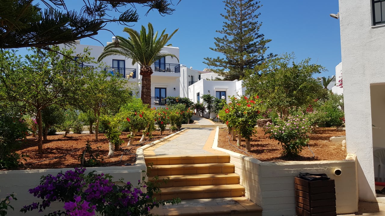 Gartenanlage TUI SUNEO Chrissi Amoudia