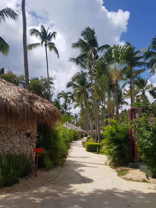 Gartenanlage Hotel Viva Dominicus Beach by Wyndham - All Inclusive Resort
