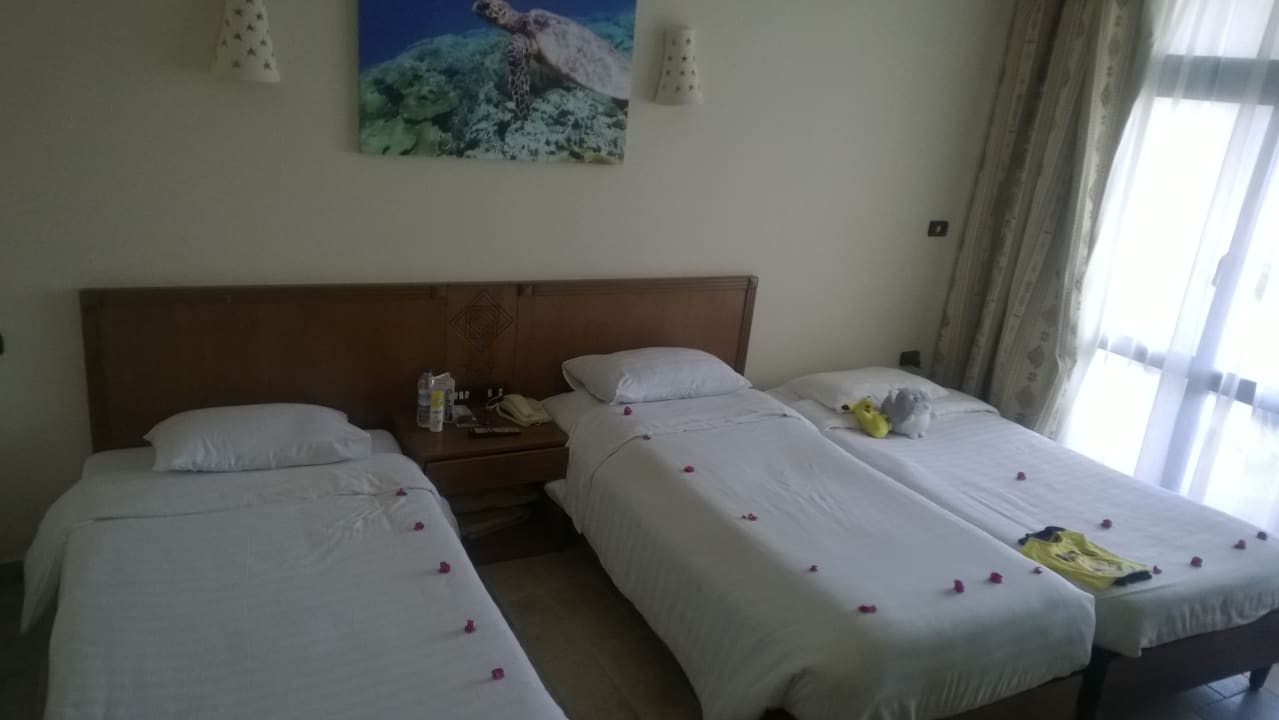 Zimmer Three Corners Equinox Beach Resort