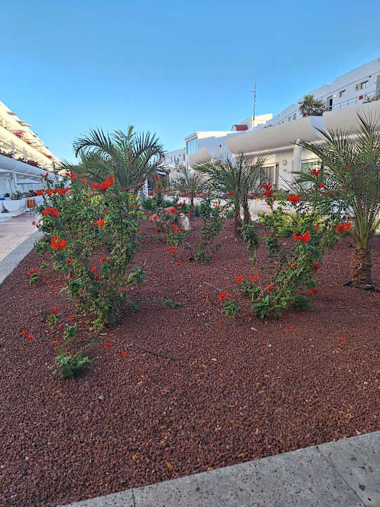 Gartenanlage allsun App.-Hotel Barlovento