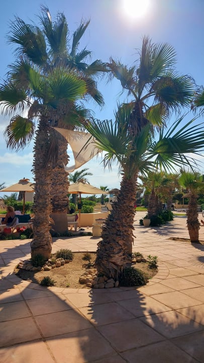 Gartenanlage Vincci Dar Midoun