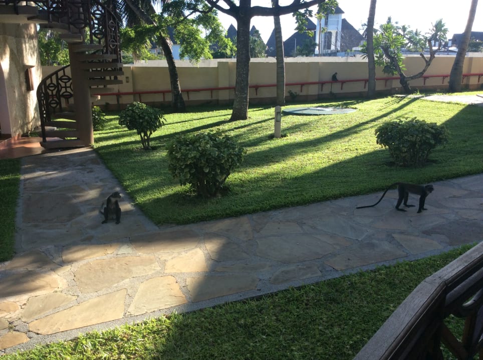 Gartenanlage Neptune Paradise Beach Resort & Spa