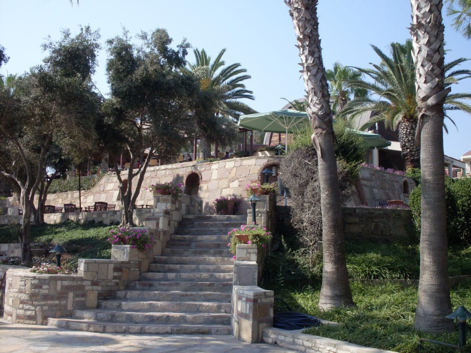Treppe zur Snackbar Arum Barut Collection