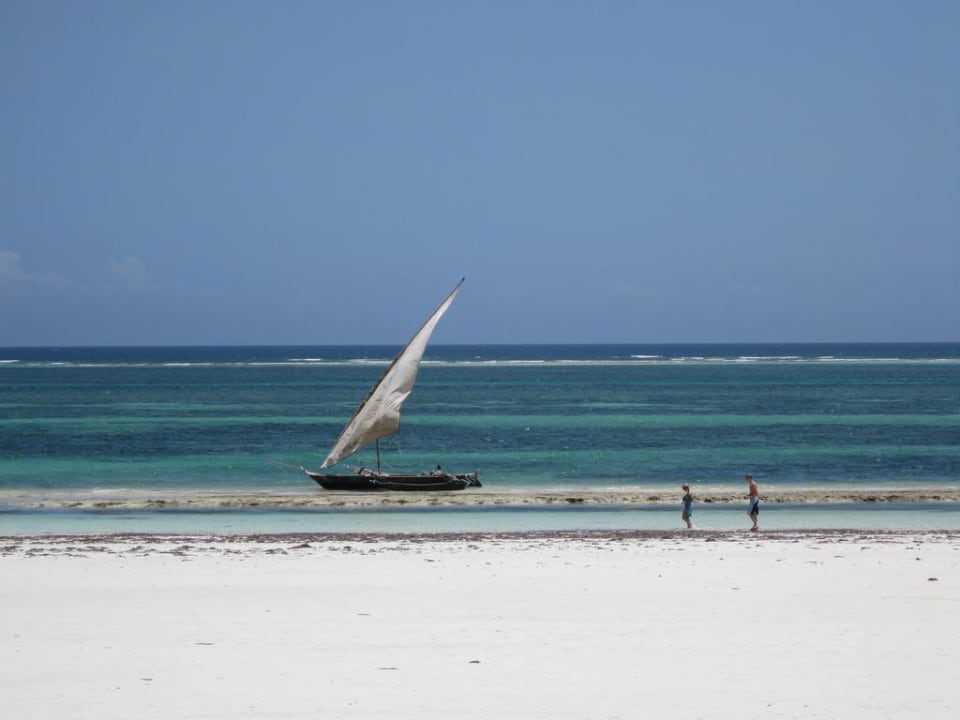 Blick von der Hotelliegewiese aufs Meer Hotel Papillon Lagoon Reef