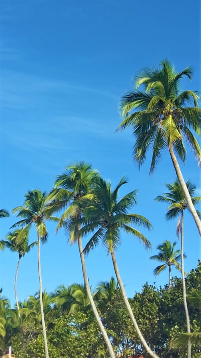 Strand Iberostar Selection Hacienda Dominicus