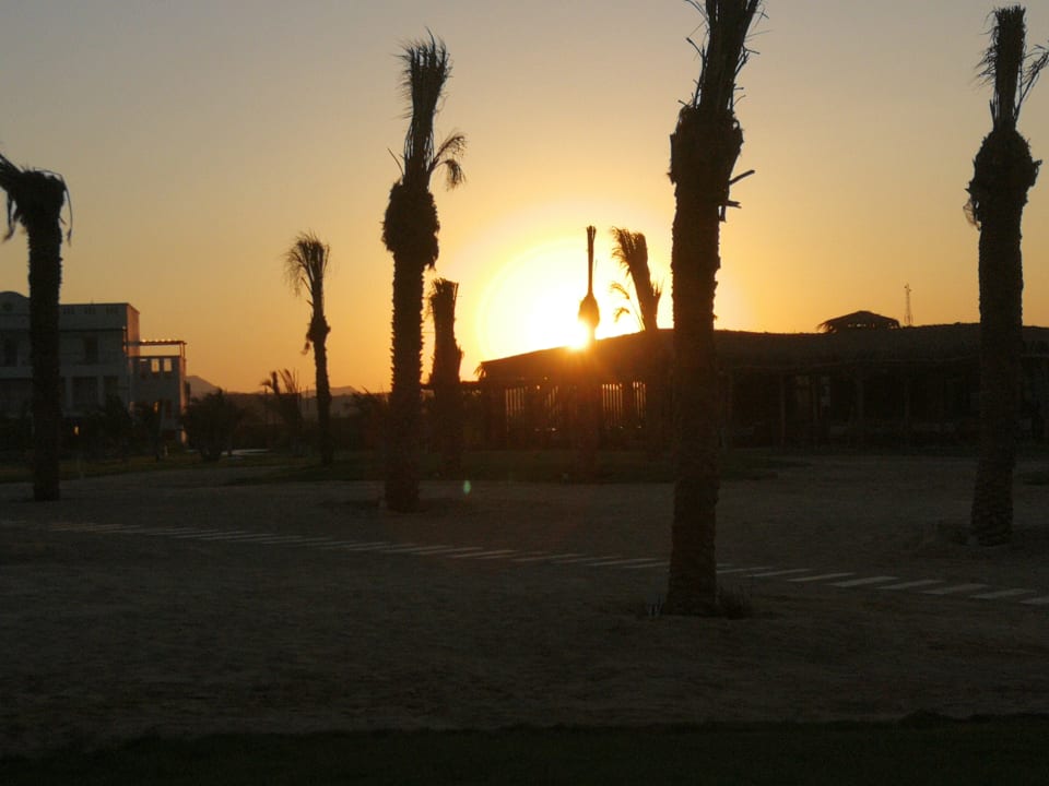 Strand Steigenberger Resort Alaya Marsa Alam - Red Sea - Adults only