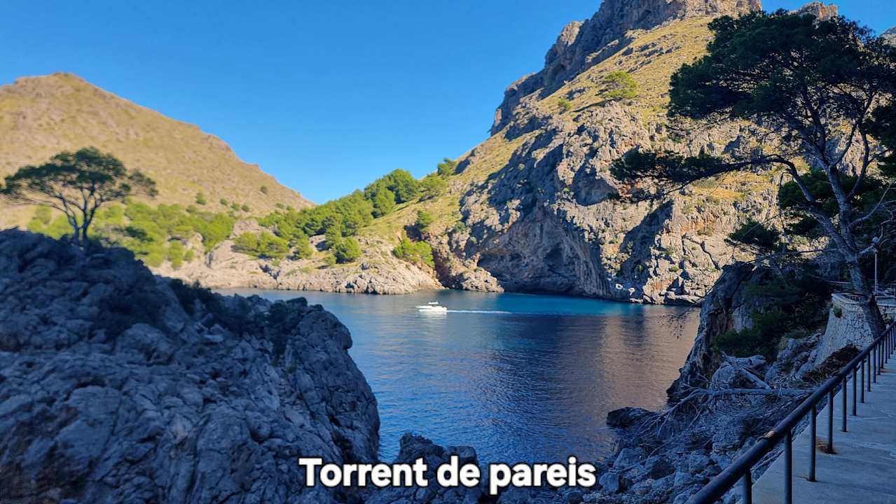 Sonstiges Hotel Riu San Francisco - Adults only