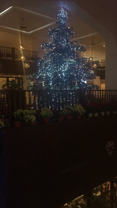 Lobby Steigenberger Aqua Magic