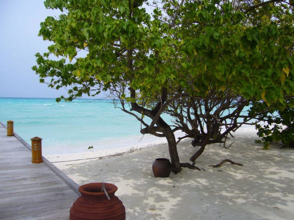 Strand am Asia Wok  Meeru Maldives Resort Island