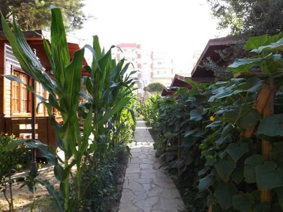 Hotel Sevkibey Bungalows  Şevki Bey Hotel