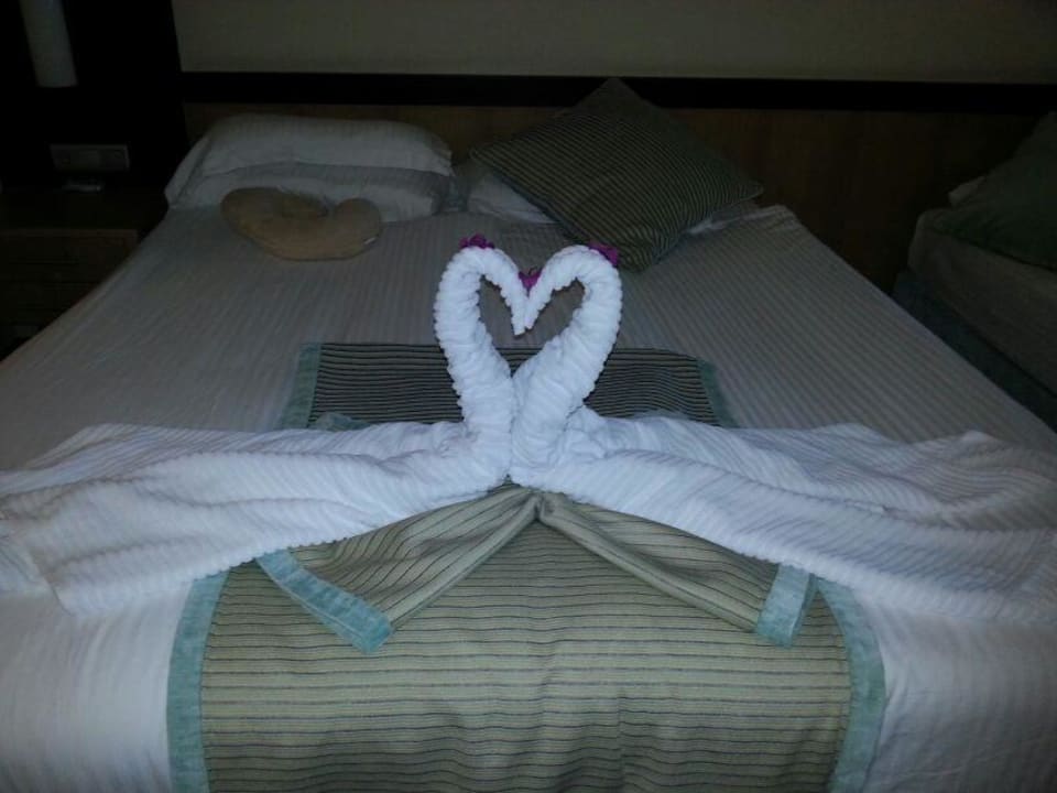 Handtuch Schwäne Royal Wings Hotel
