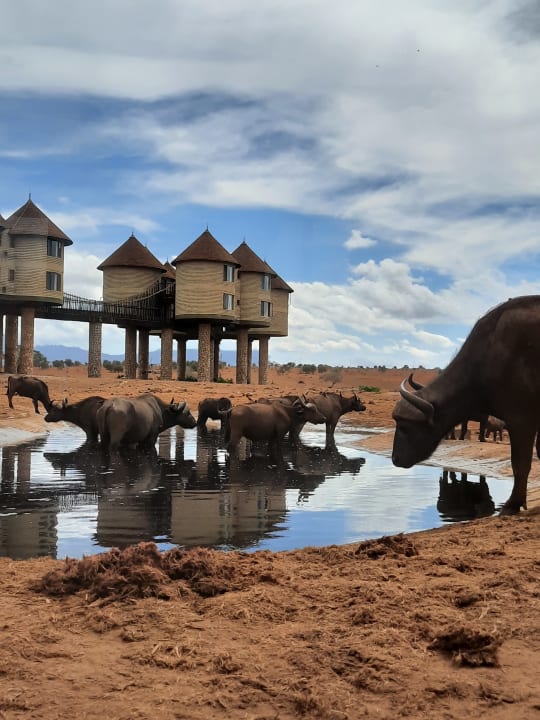 Sport & Freizeit Taita Hills Safari Resort & Spa