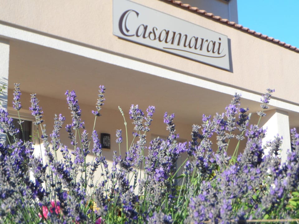 Lavendel Appartementhaus CASAMARAI
