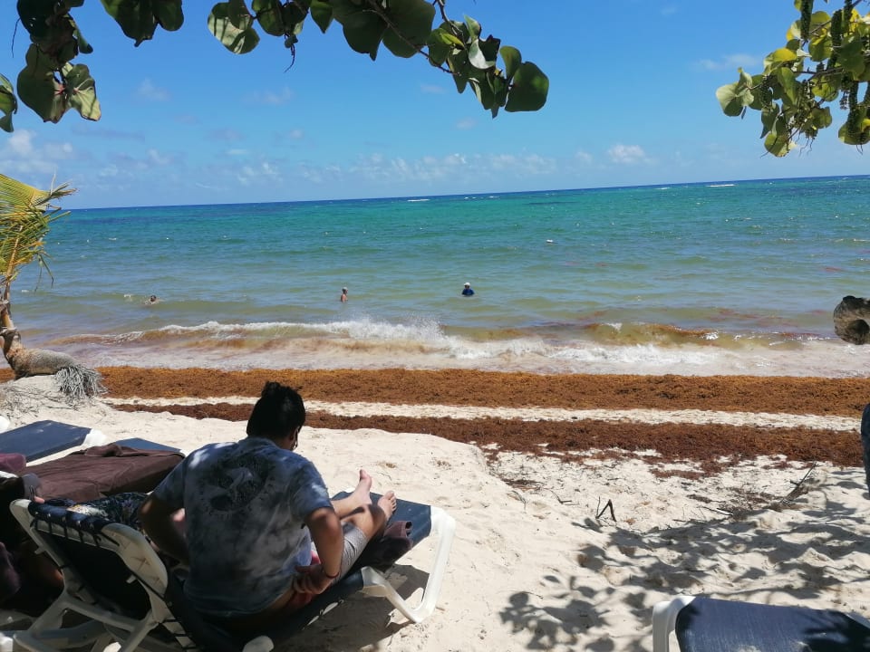 Strand Grand Palladium Select Bávaro Resort & Spa