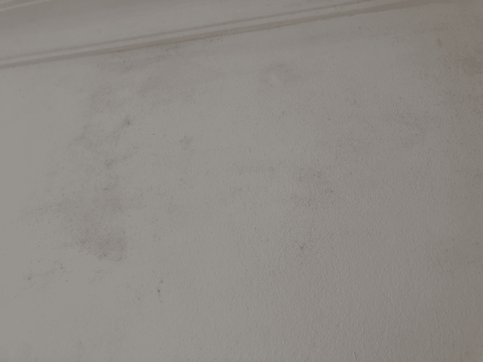 Zimmer Wyndham Alltra Samana