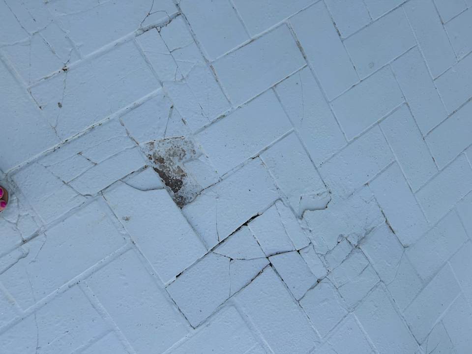 Gartenanlage Barceló Portinatx - Adults only