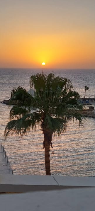 Ausblick Pickalbatros Citadel Resort