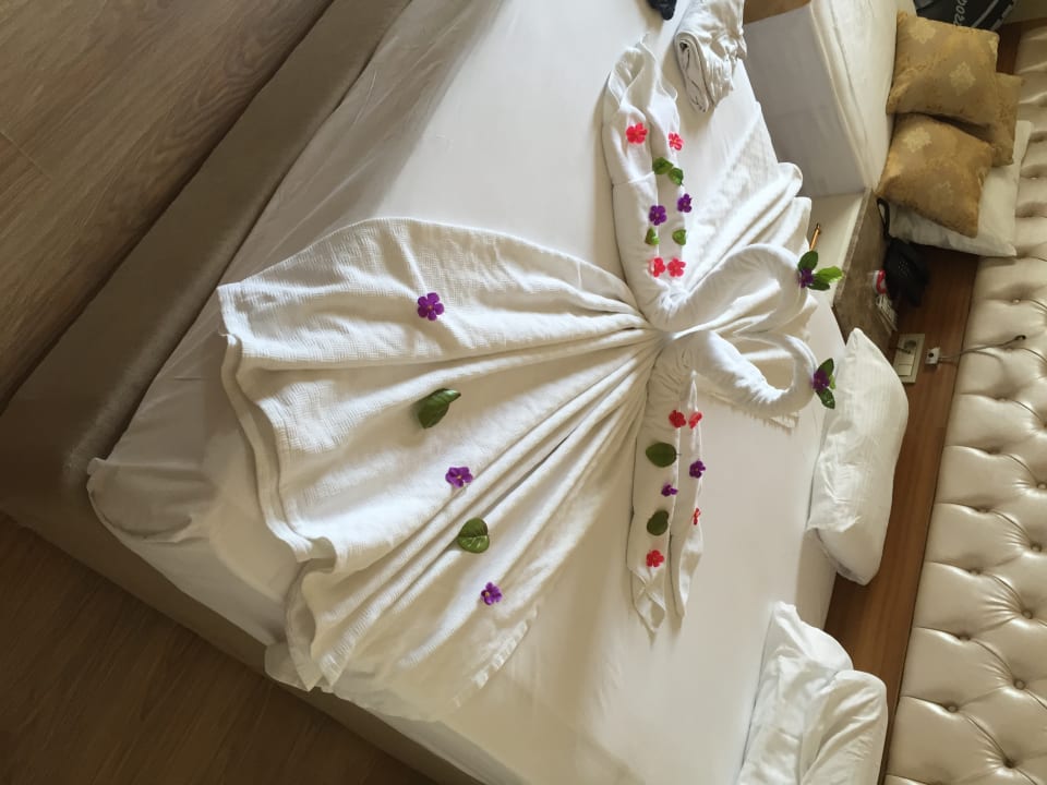 Zimmer Oz Hotels Side Premium