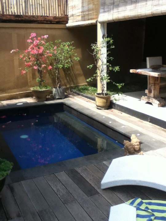 Privater Pool der Lotus Villa 2 Villa Mimpi Manis Bali Guesthouse