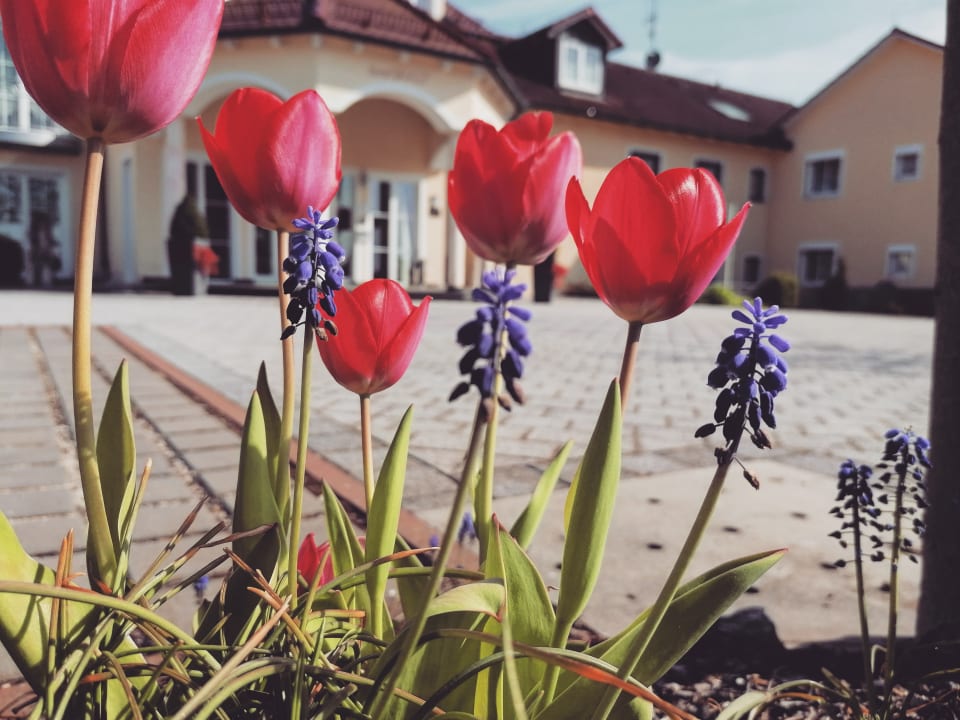 Gartenanlage Landhotel Zur Jurahöhe / Juraschlössl
