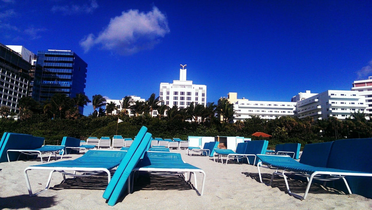 Ausblick vom Strand auf das Hotel The Palms Hotel & Spa