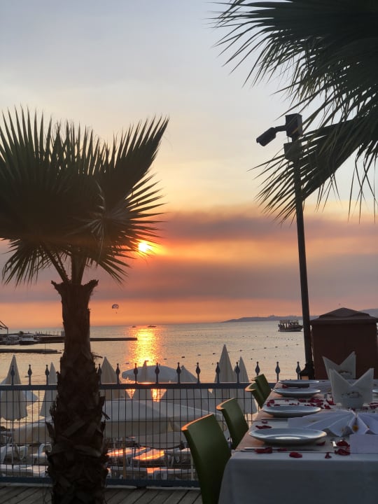 Gastro Lonicera Resort & Spa Hotel