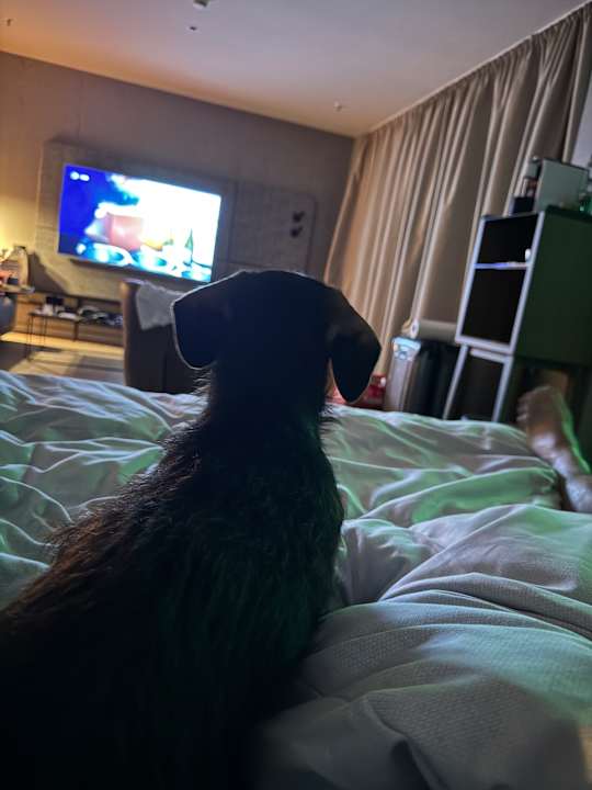 Zimmer b'mine Hotel Frankfurt Airport