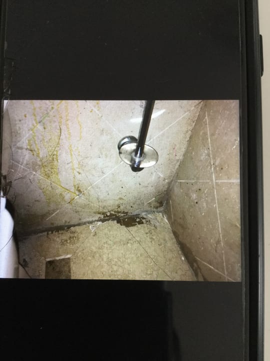 Zimmer Ghazala Gardens