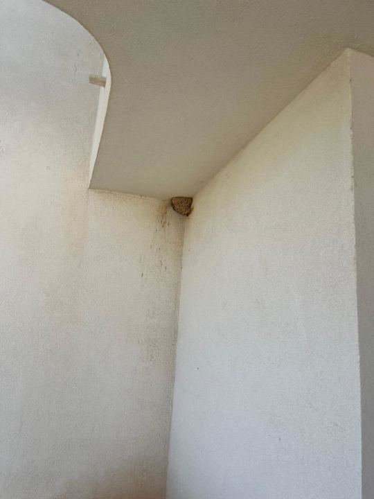 Zimmer Hipotels Mercedes