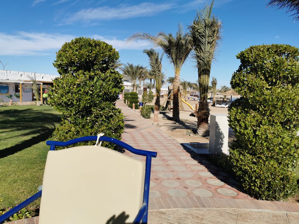 Gartenanlage Coral Sun Beach