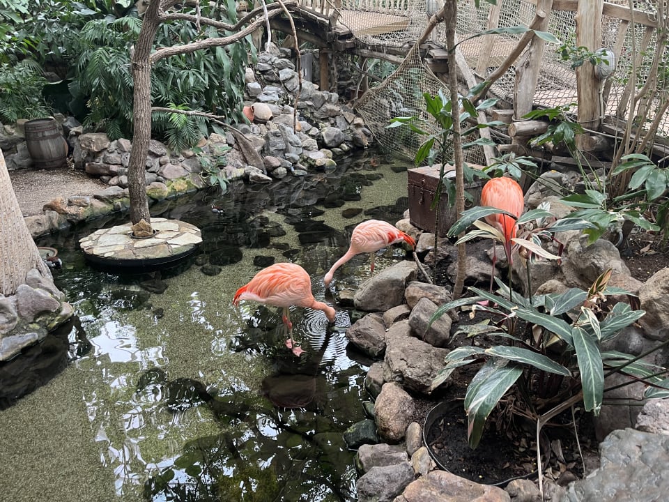 Gartenanlage Center Parcs De Vossemeren