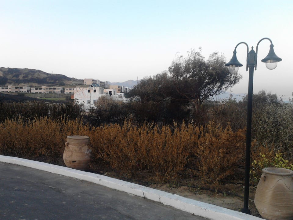 Nach dem Feuer Lagas Aegean Village